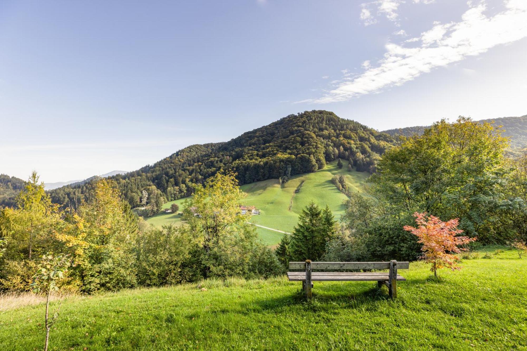 Ferienwohnung Alpenglueck Marktschellenberg Buitenkant foto